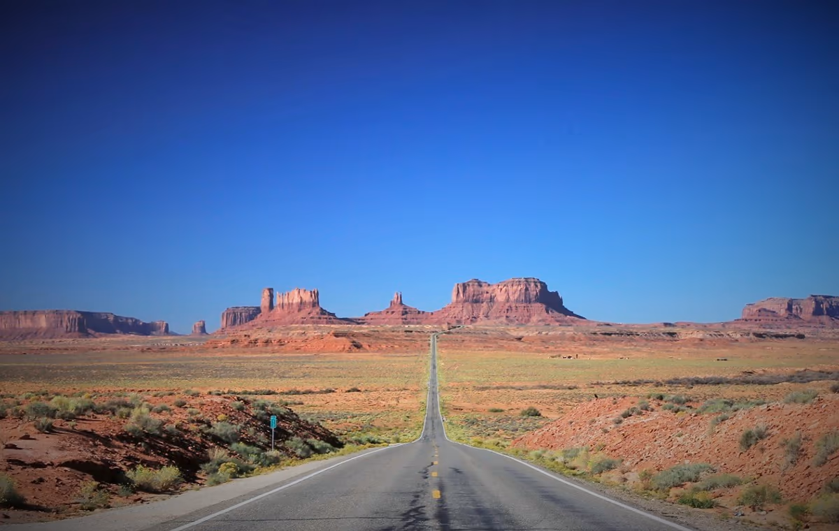 投稿写真：Forrest Gump Highway