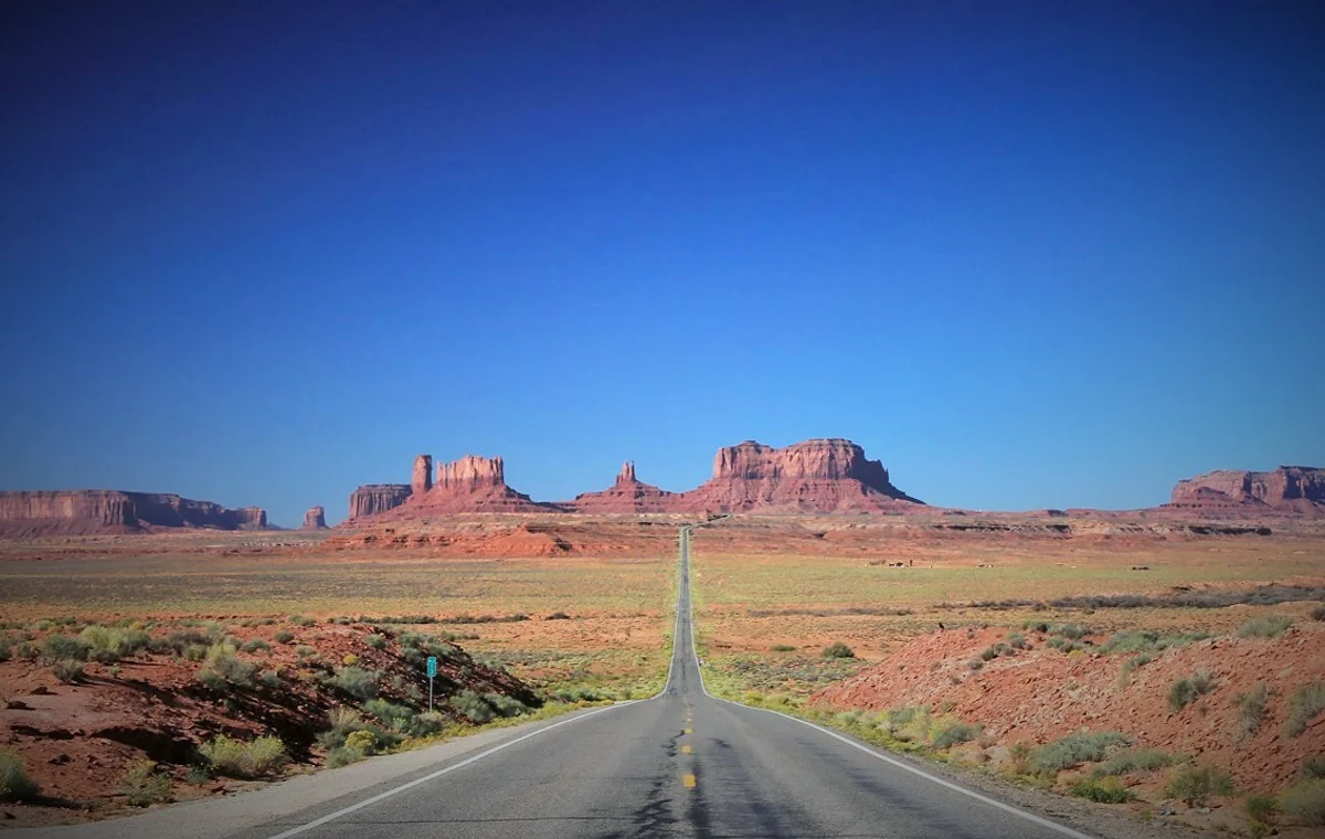 投稿写真：Forrest Gump Highway