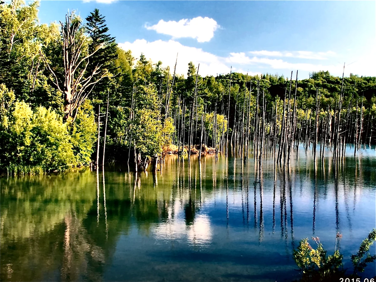 投稿写真：北海道美英町の青い池