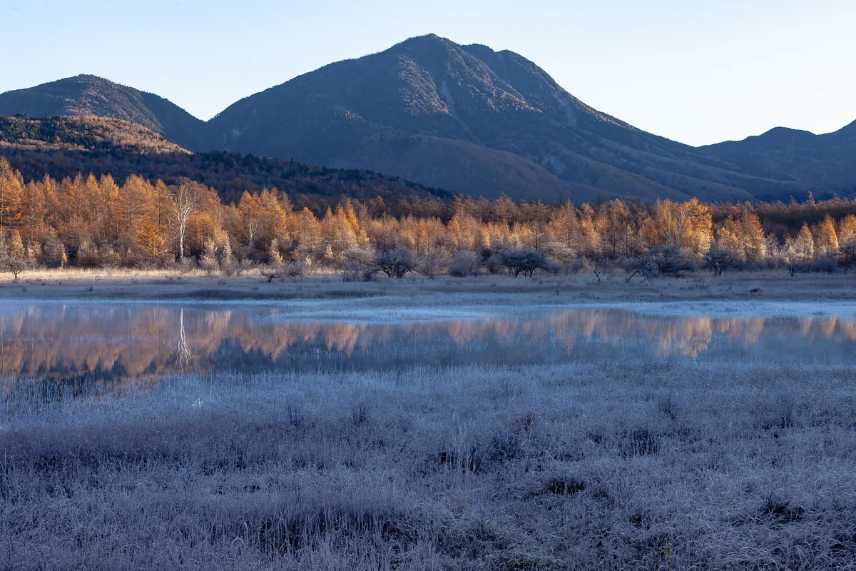 投稿写真：小田代ヶ原／幻の湖「小田代湖」と貴婦人
