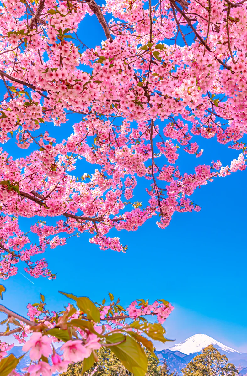 KNDさんの投稿写真