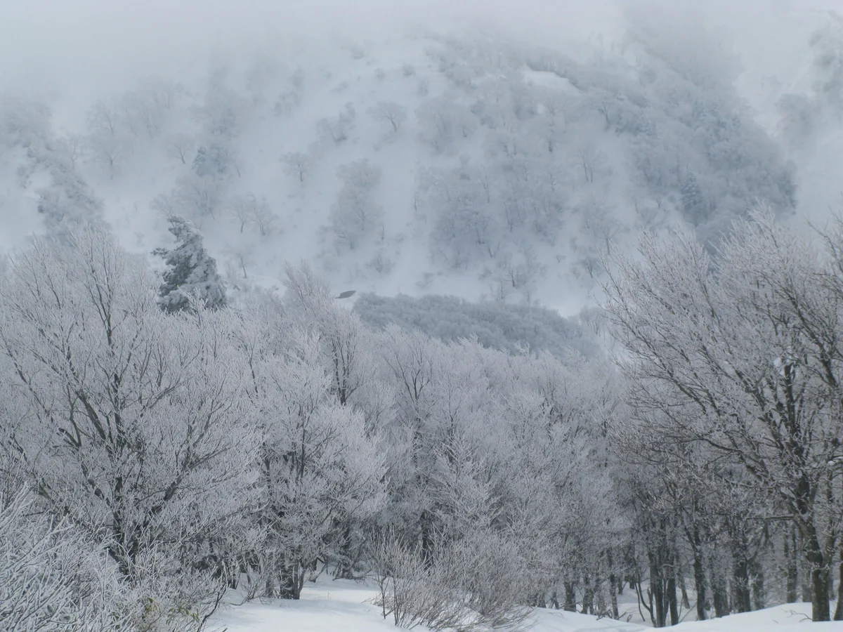 投稿写真：蔵王