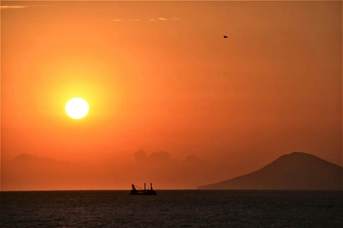 投稿写真：Alba 2