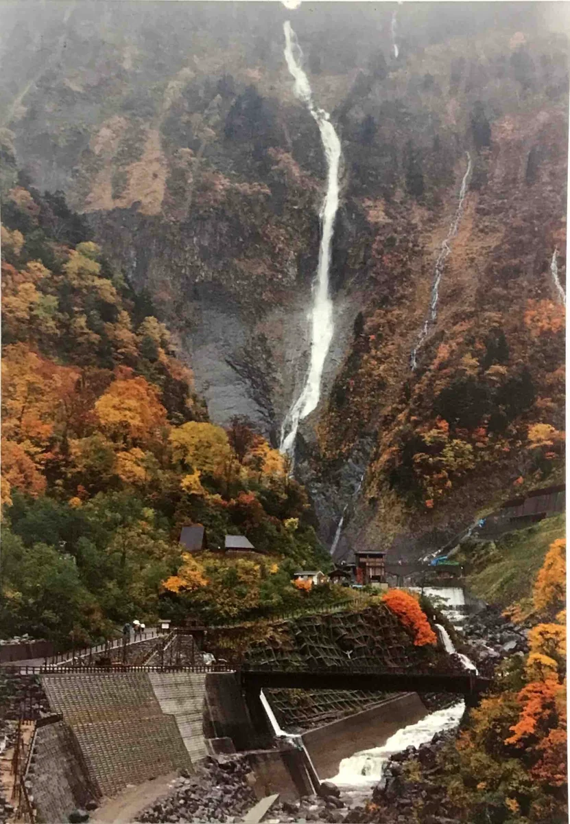 投稿写真：紅葉とハンノキ滝