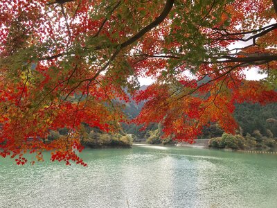  | 絶景事典