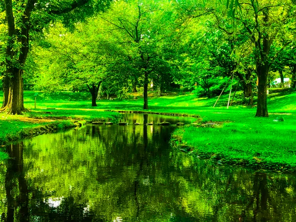 投稿：都会の中の自然