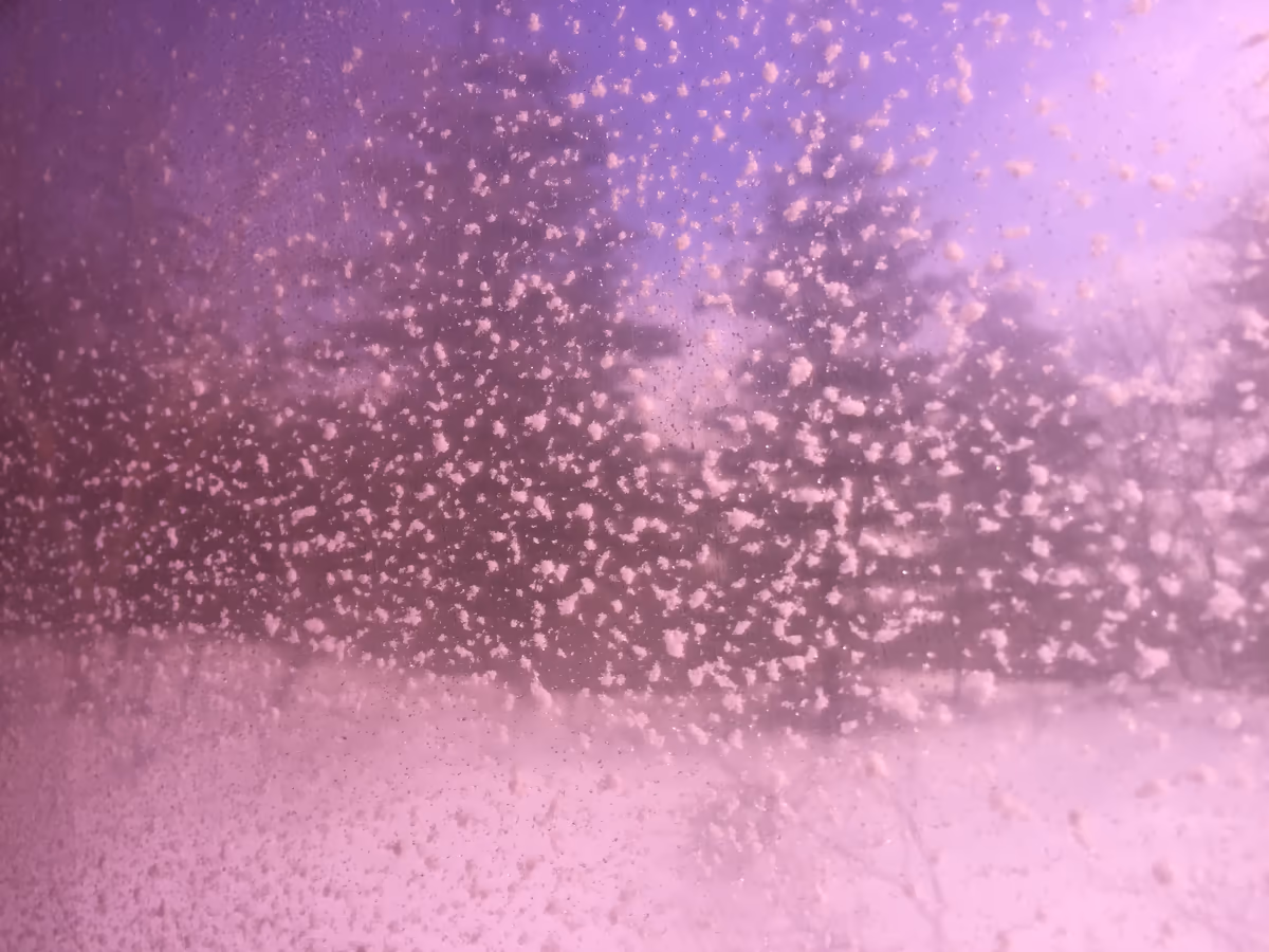 投稿写真：雪上車ワイルドモンスター号の車窓から