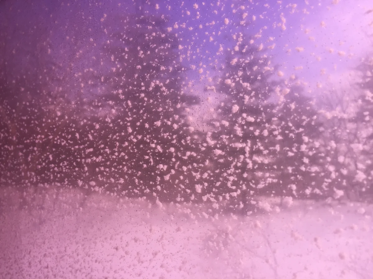 投稿写真：雪上車ワイルドモンスター号の車窓から