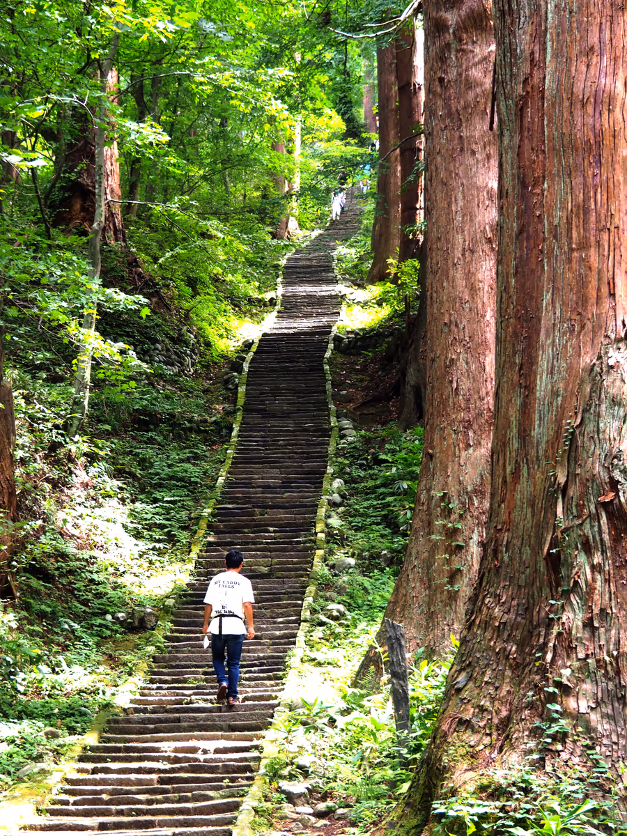 投稿写真：修験者の道