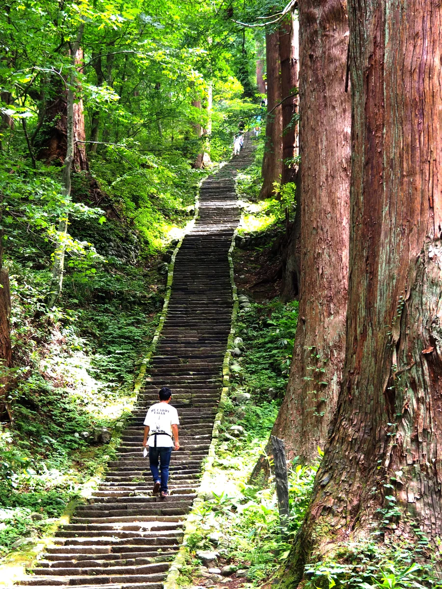 YYさんの投稿写真