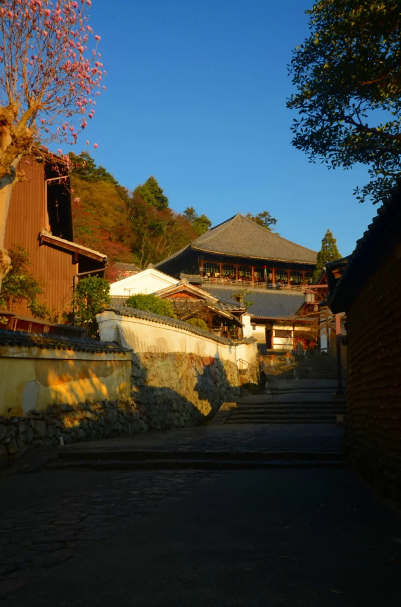 投稿写真：いにしえの巡礼道