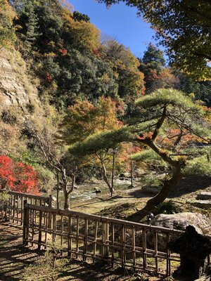  | 絶景事典
