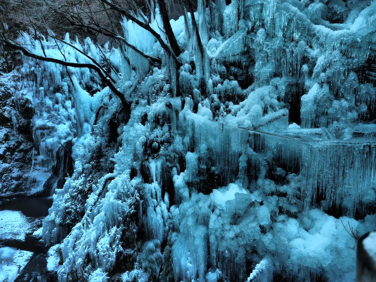 鬼瓦　鉄五郎さんの投稿写真