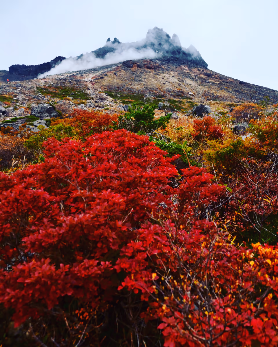 投稿写真：茶臼岳と紅葉