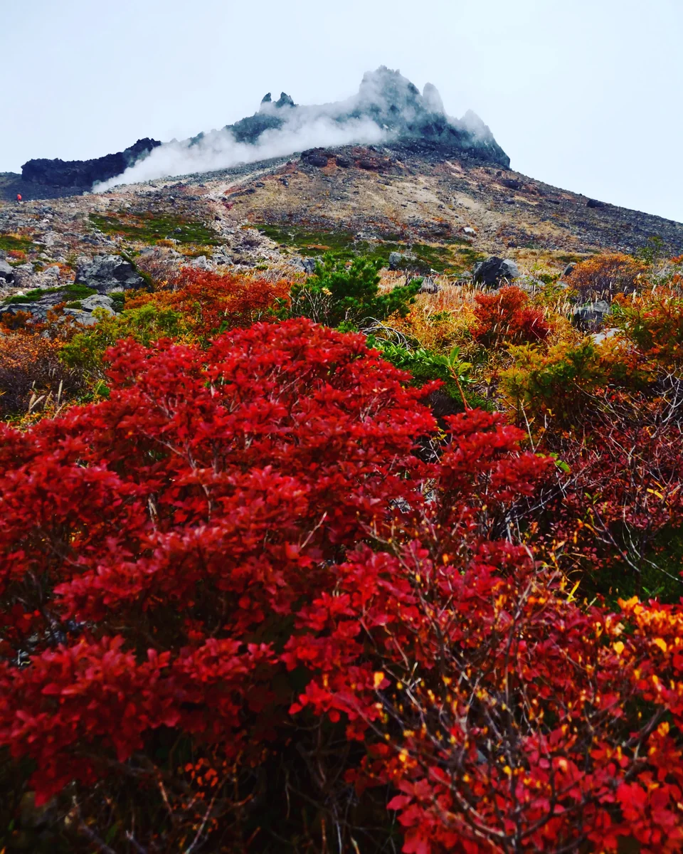 投稿写真：茶臼岳と紅葉