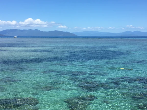 投稿：グリーン島