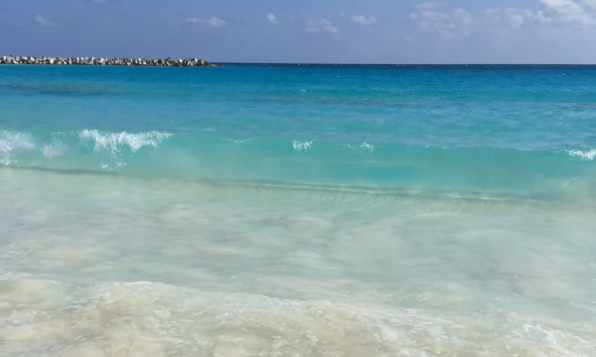 投稿写真：カリブ海