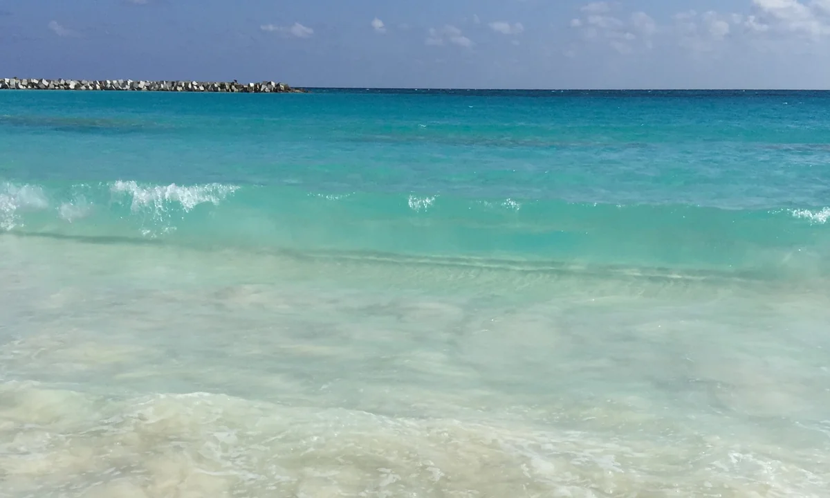 投稿写真：カリブ海