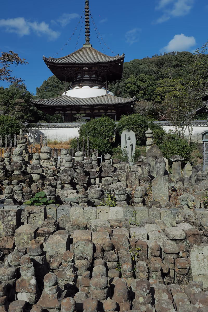 投稿写真：根来寺　石塔群と大塔