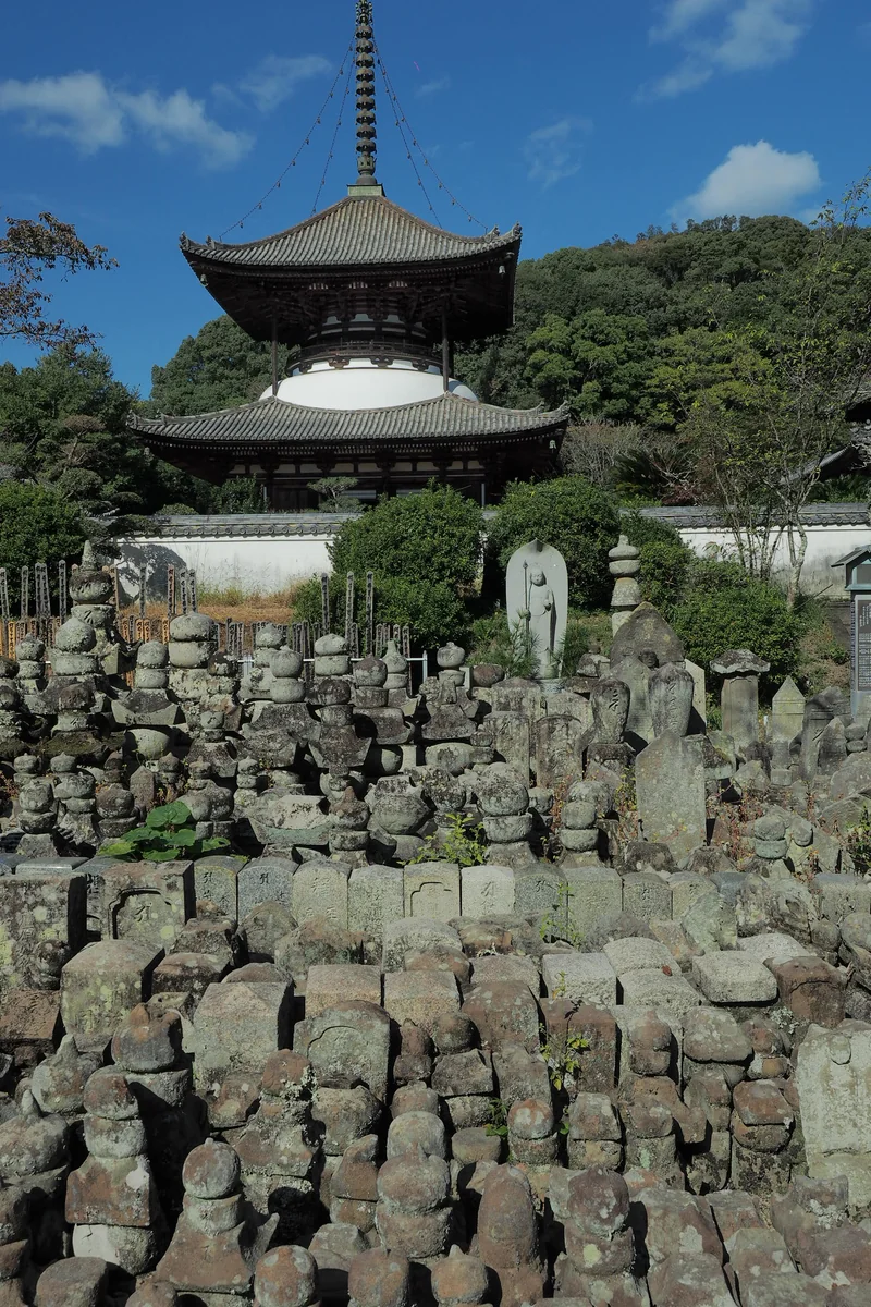投稿写真：根来寺　石塔群と大塔