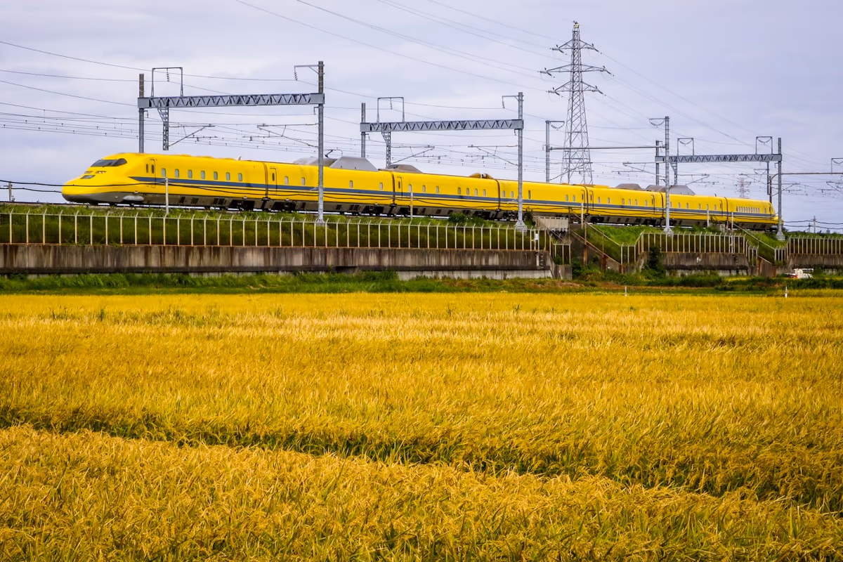投稿写真：実りの秋のドクターイエロー