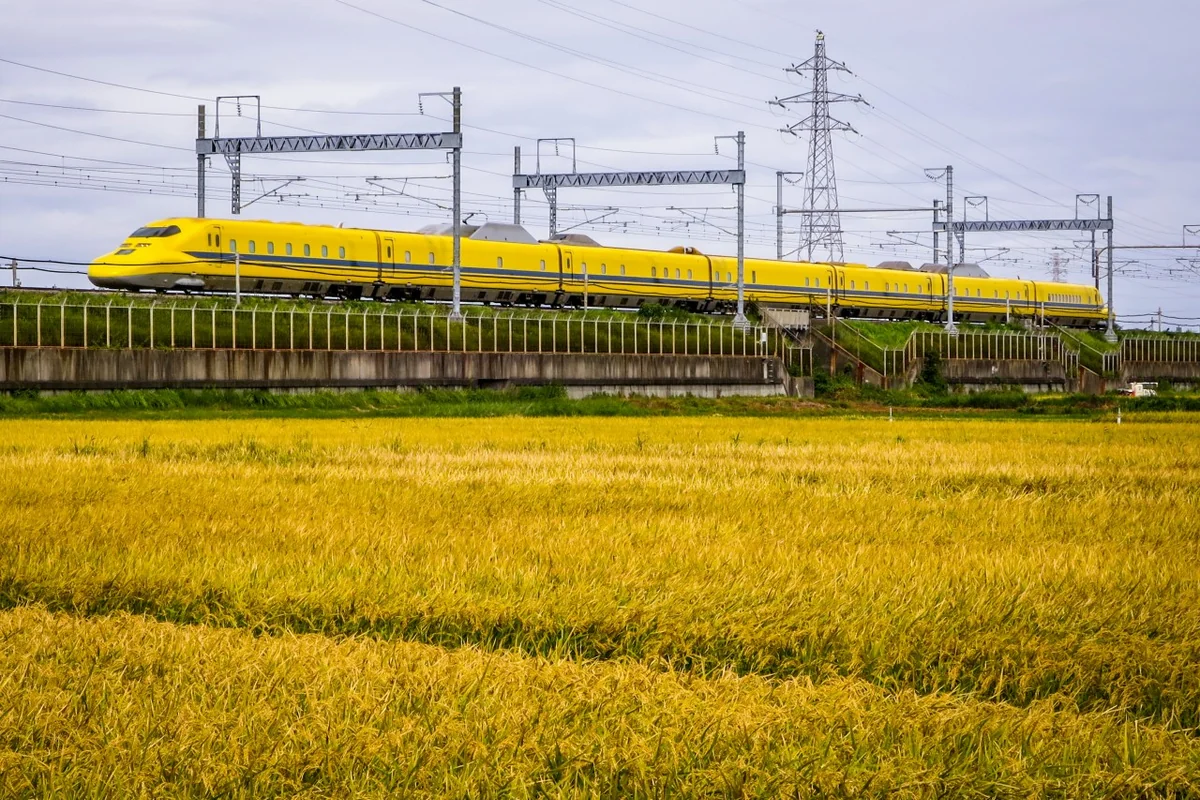 投稿写真：実りの秋のドクターイエロー