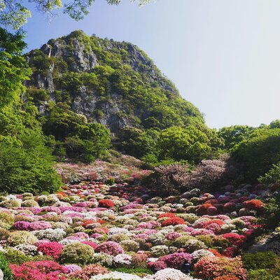  | 絶景事典