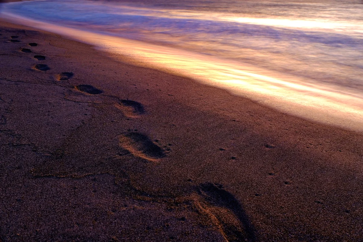 投稿写真：記憶