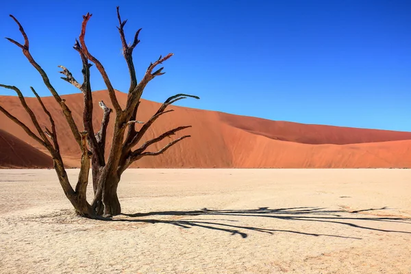 投稿：デッドフレイ