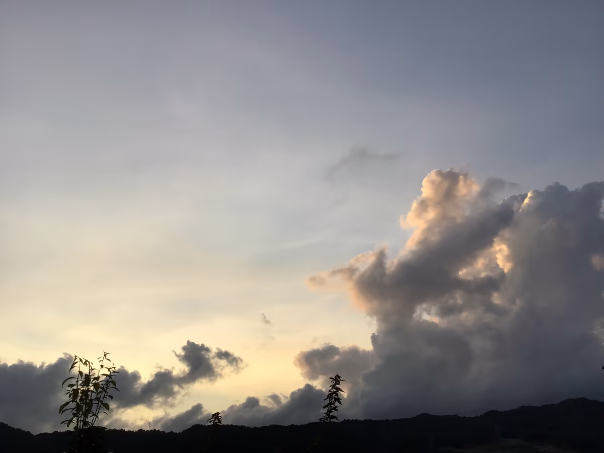 投稿写真：久々の雨上がり