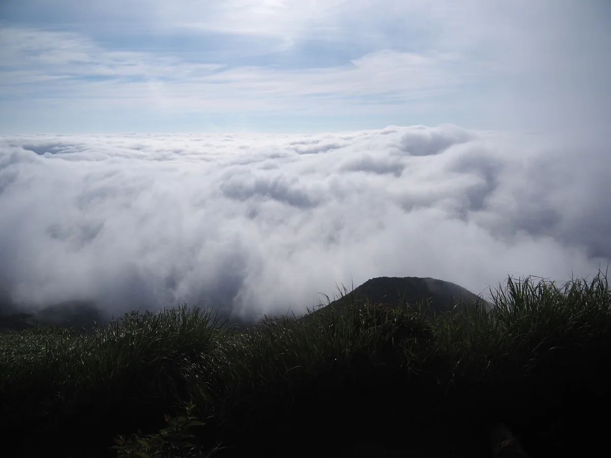 YYさんの投稿写真