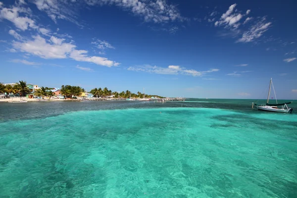 投稿：キーカーカー