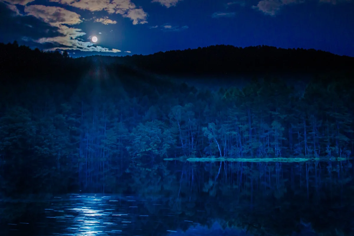 古河 義仁さんの投稿写真