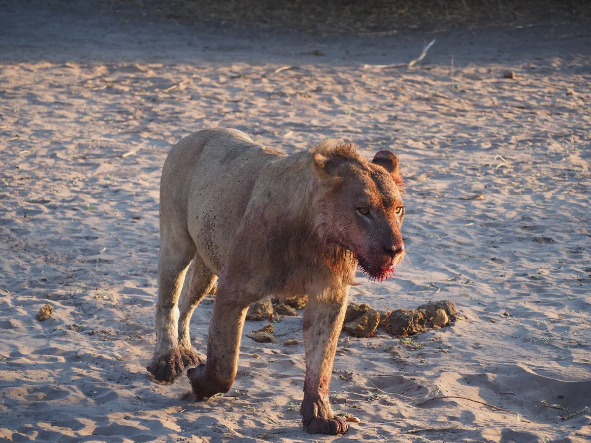 投稿写真：美味かった