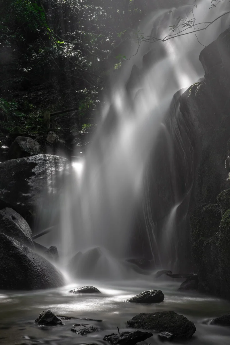 投稿写真：光射す滝