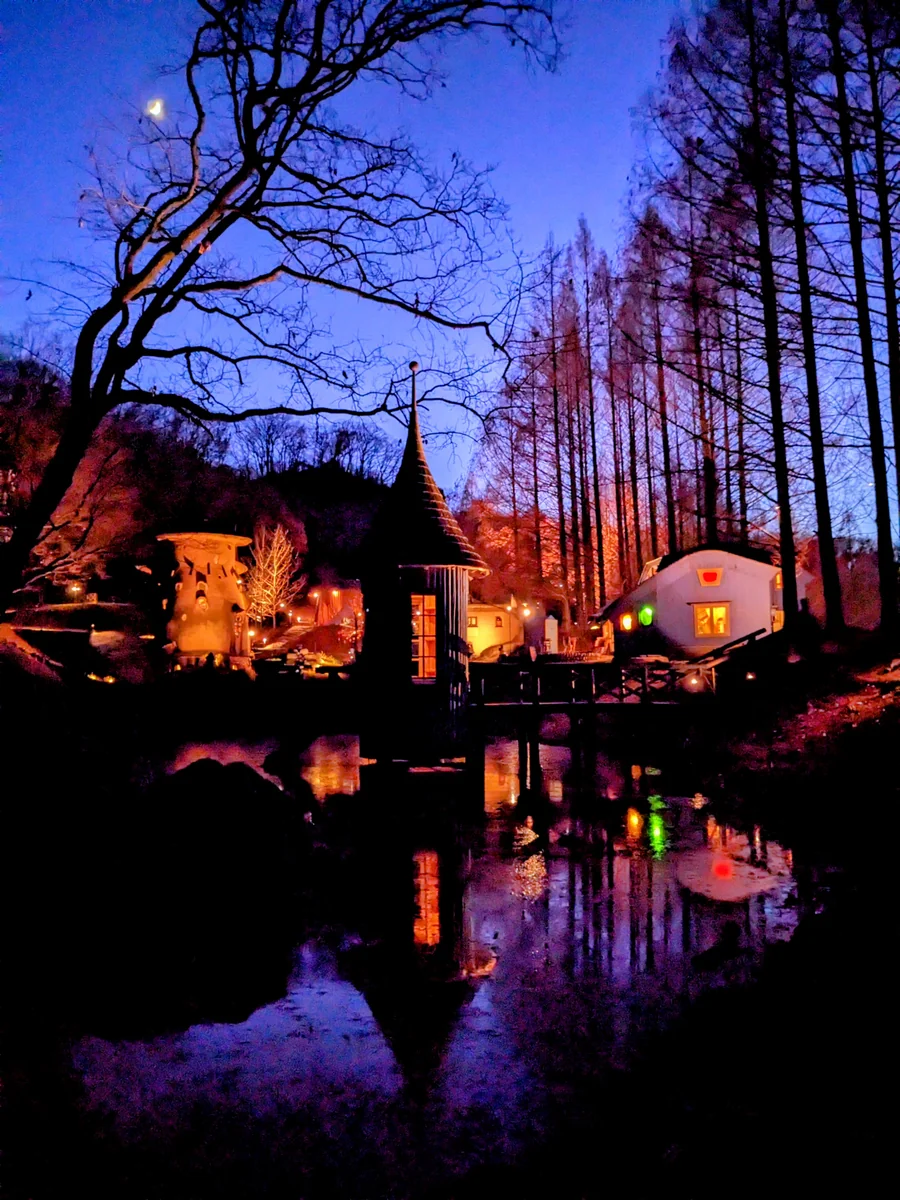 投稿写真：ムーミン谷の夜