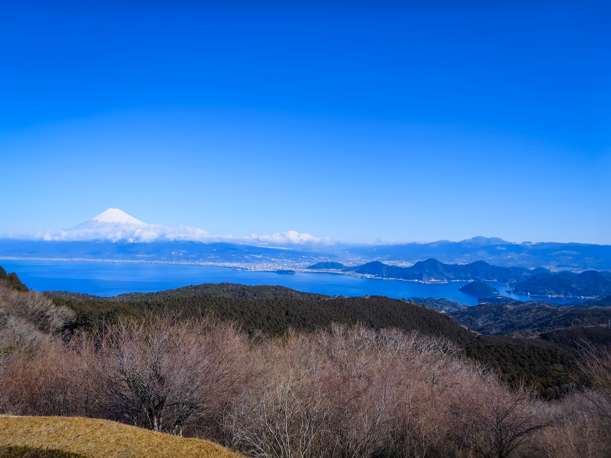投稿写真：化粧直しした富士山と駿河湾