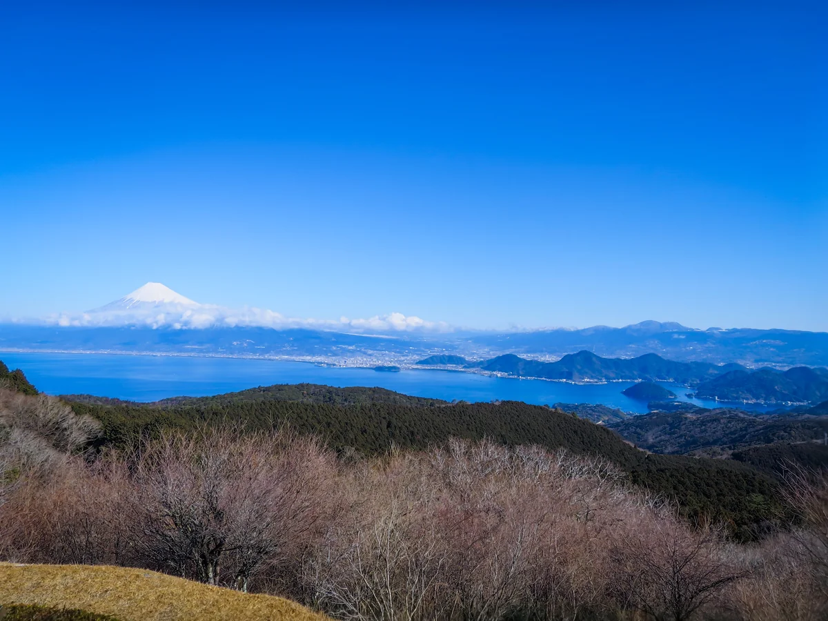 投稿写真：化粧直しした富士山と駿河湾