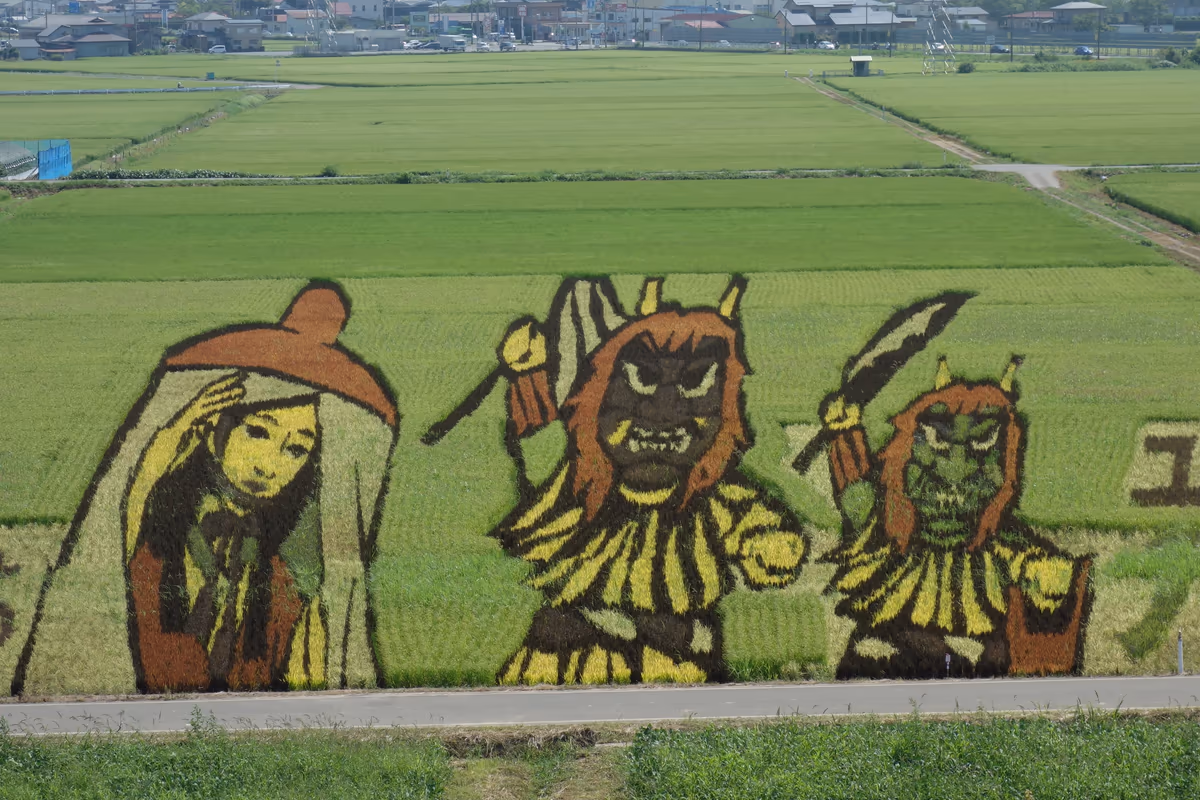 投稿写真：秋田の田んぼアート
