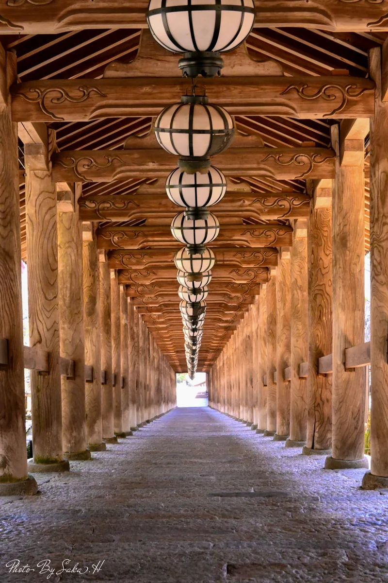 投稿写真：静寂