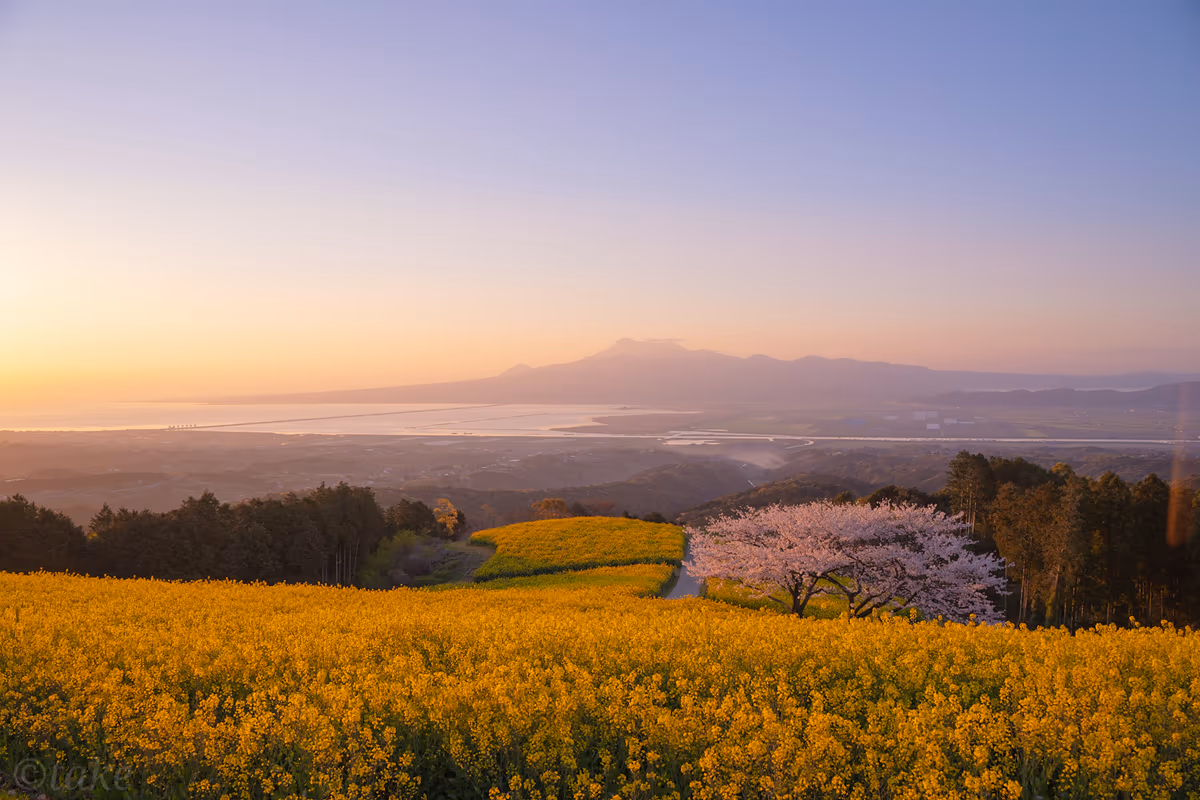 投稿写真：白木峰高原