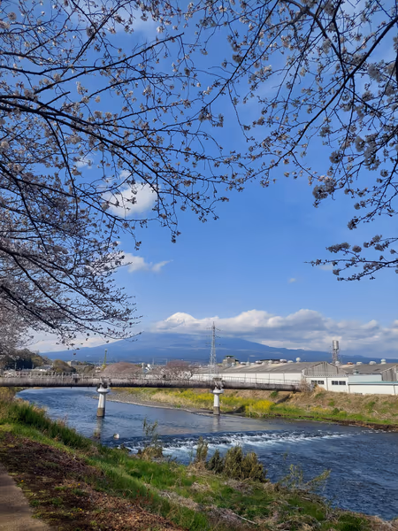 投稿：桜と富士山