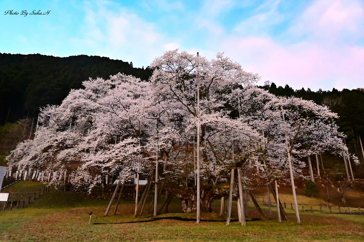 投稿写真：親子の共演
