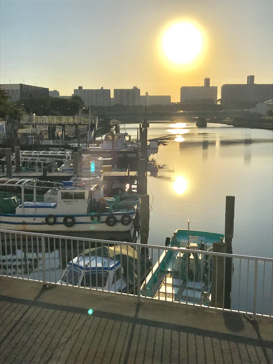 投稿写真：仲良く、日の出🎵