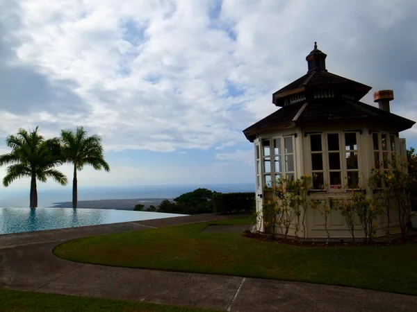 投稿：コナ農園