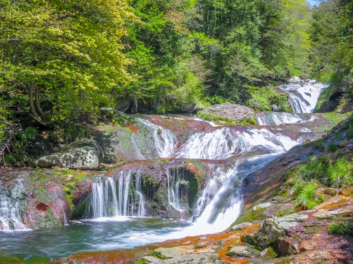 投稿写真：おしどり隠しの滝
