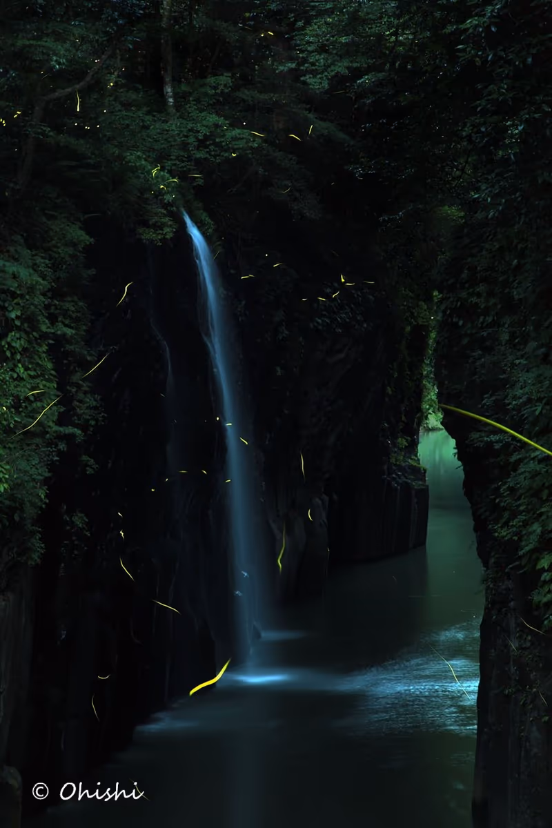 投稿写真：高千穂峡の蛍