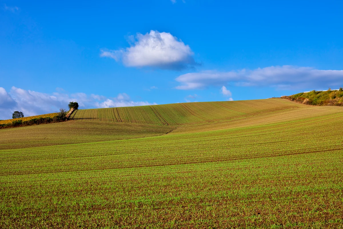 投稿写真：この雲なにに見える？