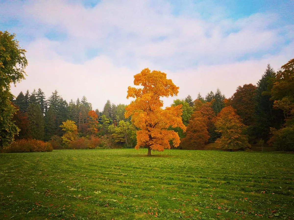 投稿写真：チェコ　プルホニツェ公園
