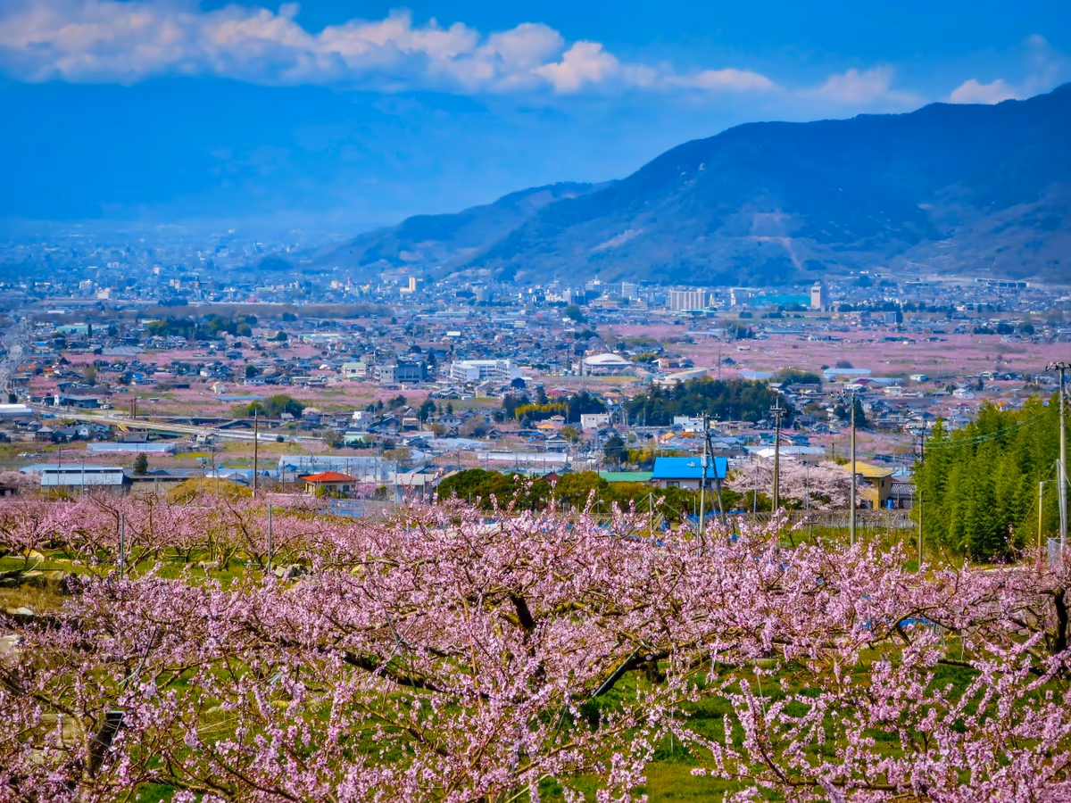 投稿写真：桃源郷